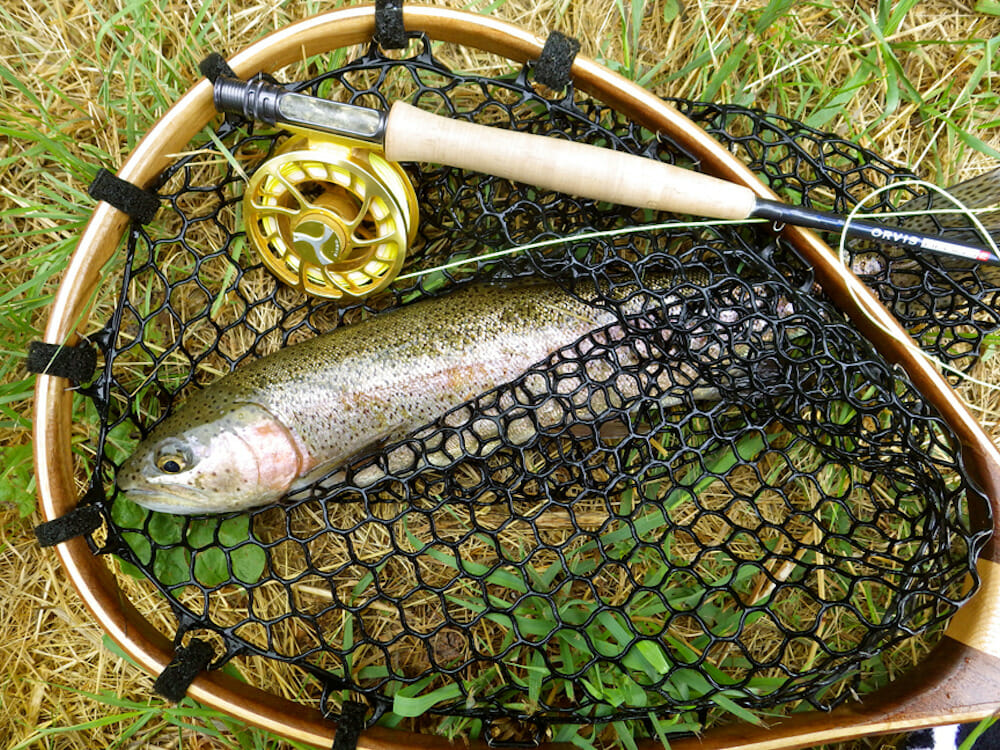 Learn To Fly Fishing In Colorado