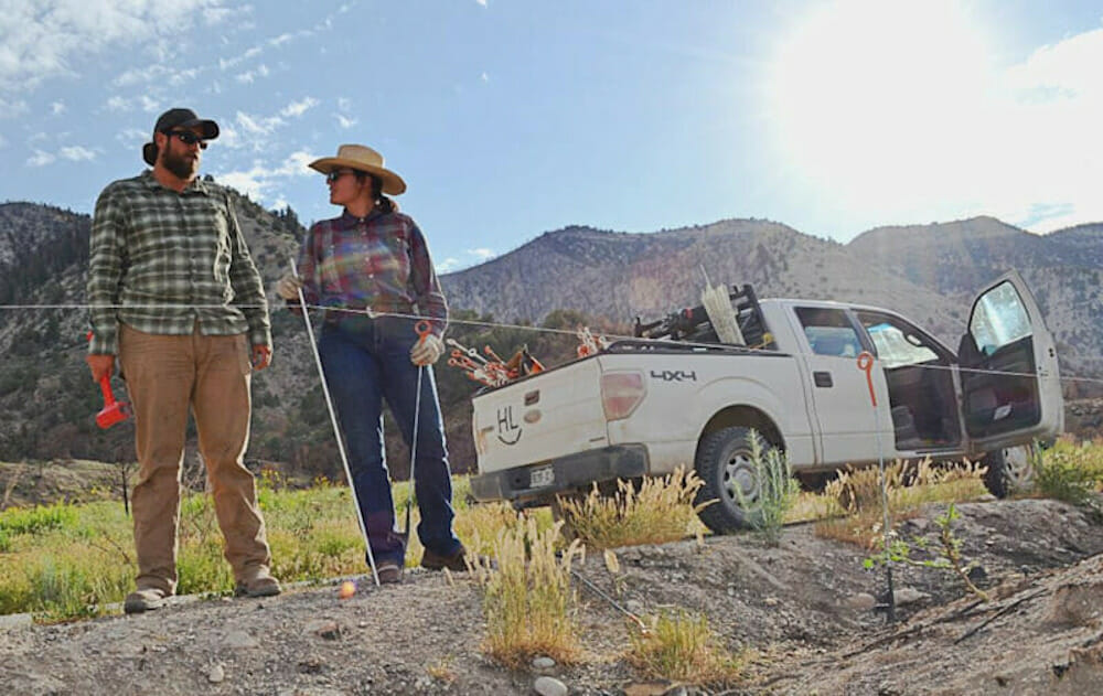 Things Happening At The High Lonesome Ranch Things Happening At The High Lonesome Ranch