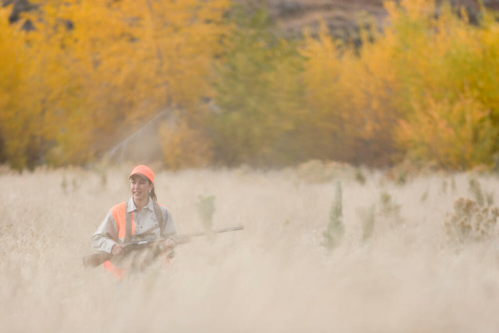 Pheasant Hunting Colorado