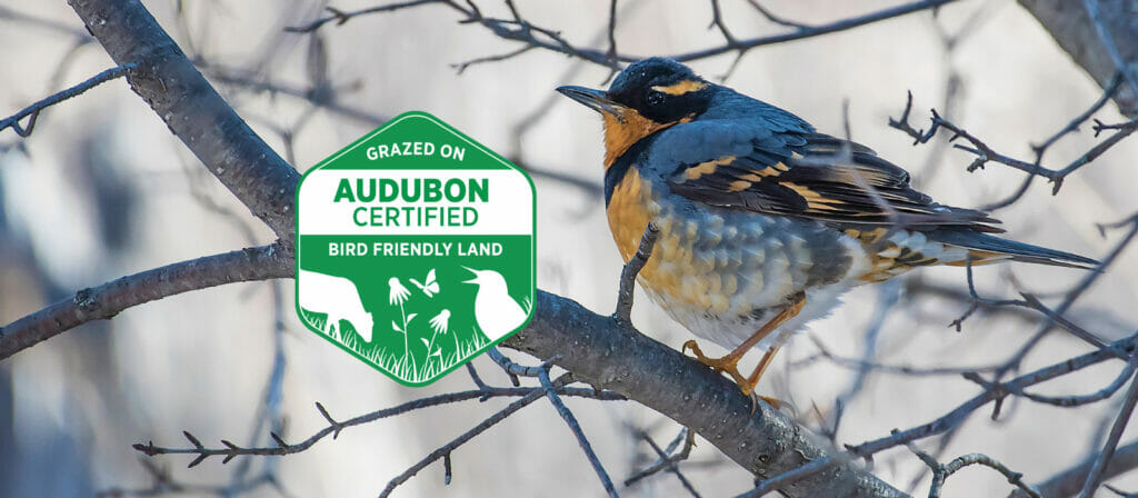 Audubon Conservation Ranching