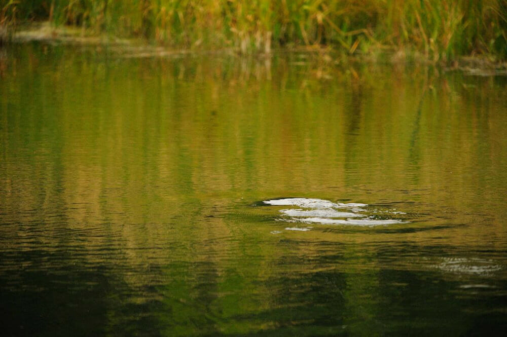 Happenings at The High Lonesome Ranch Happenings at The High Lonesome Ranch