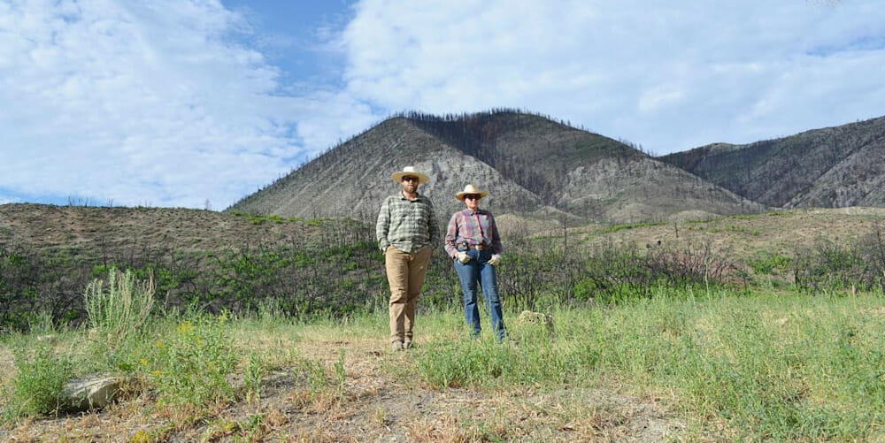 Happenings at The High Lonesome Ranch Happenings at The High Lonesome Ranch